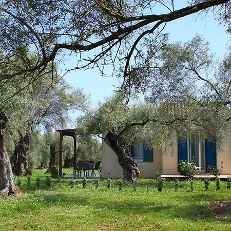 Pamar Village Φρύνι