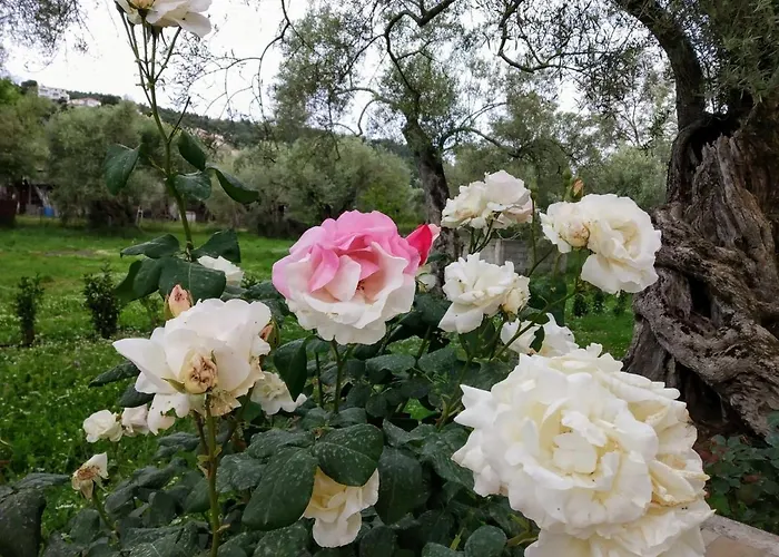 Pamar Village Case de vacanță